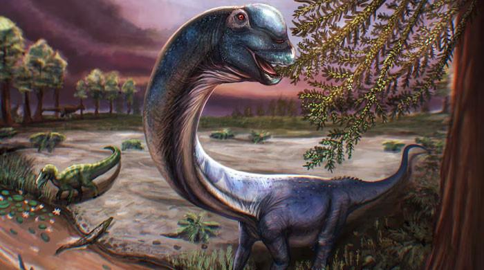 Scientists dig up Southeast Asia's largest dinosaur in Thailand