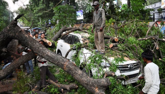 People remove a tree fallen over a car, during a heavy storm, in Prayagraj, in the northern state of Uttar Pradesh, India. — Reuters