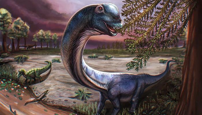 This handout illustration by Patchanop Boonsai released on May 14, 2026 shows the artists impression of the Cretaceous period sauropod dinosaur Nagatitan chaiyaphumensis. — AFP