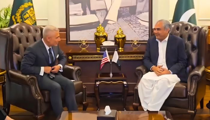 Interior Minister Mohsin Naqvi (right) meets US Assistant Secretary of State for South and Central Asian Affairs Paul Kapur, May 15, 2026. — Screengrab via X/MOIofficialGoP