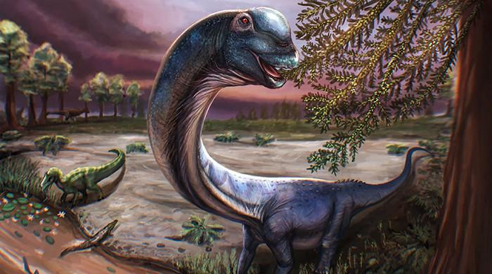 Southeast Asia's largest dinosaur identified in Thailand