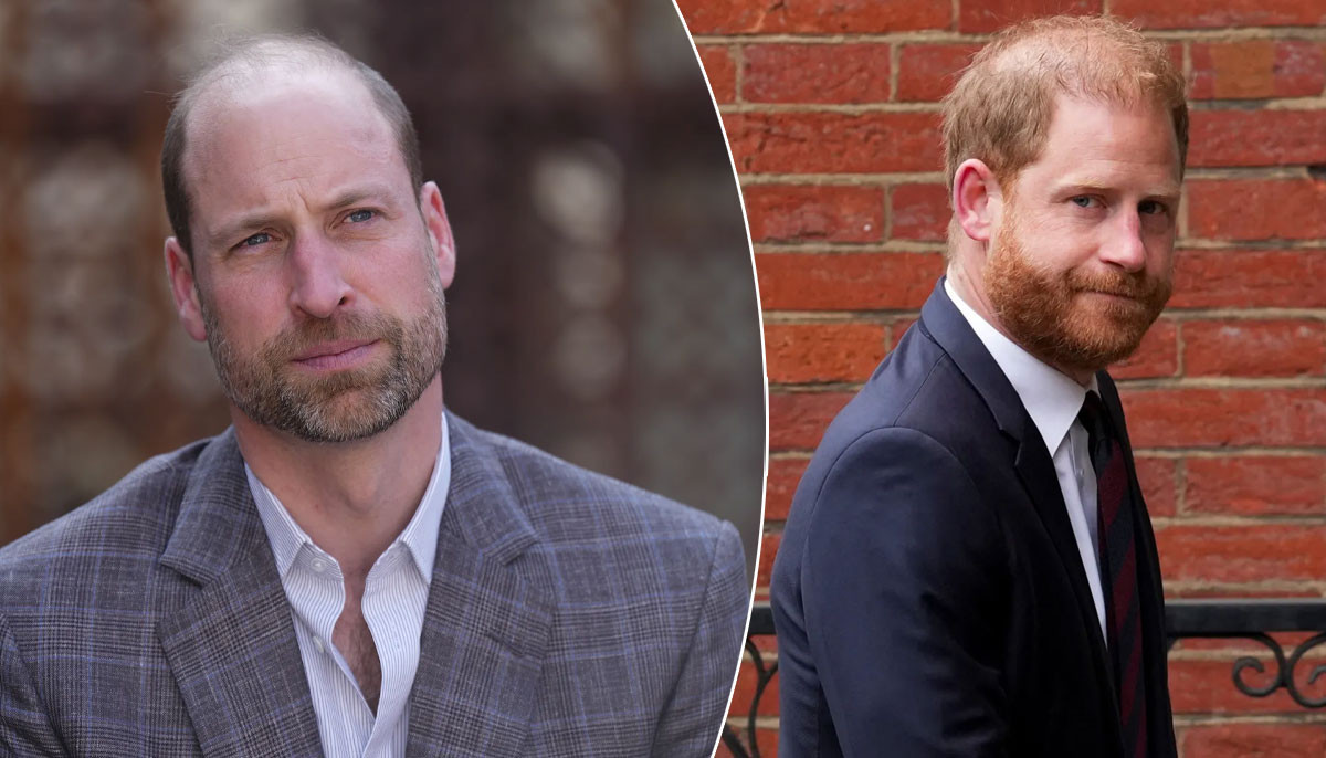 Prince Harry touches Prince William's raw nerve with brazen move