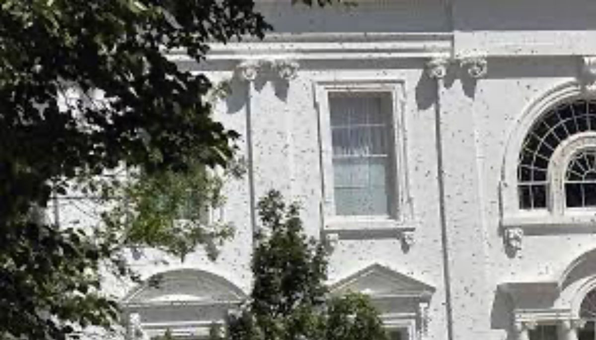 Bee swarm temporarily shuts down White House press area, sparking doomsday theories: ‘Plague no.8?'