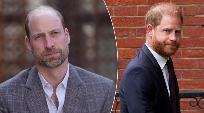 Prince Harry touches Prince William's raw nerve with brazen move