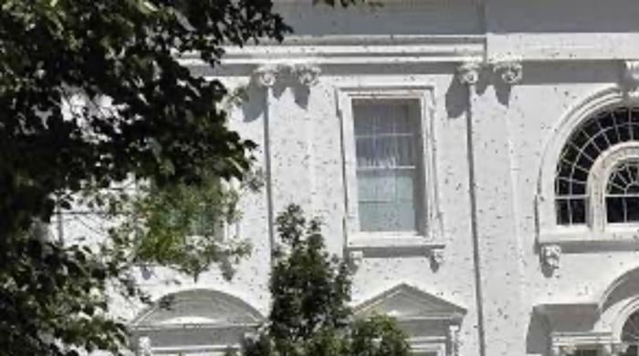 Bee swarm temporarily shuts down White House press area, sparking doomsday theories: ‘Plague no.8?'