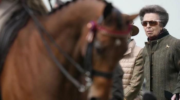 Princess Anne becomes vocal about 'British manufacturing' at Windsor Horse Show