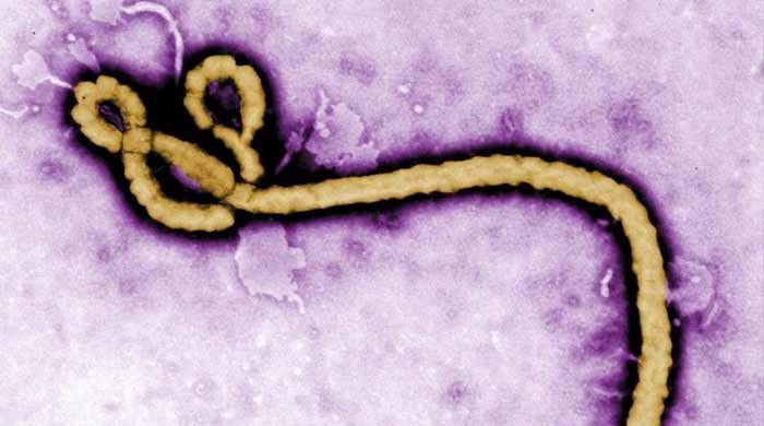 No vaccine for latest Ebola outbreak, warns DRC as toll hits 80
