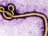 No vaccine for latest Ebola outbreak, warns DRC as toll hits 80