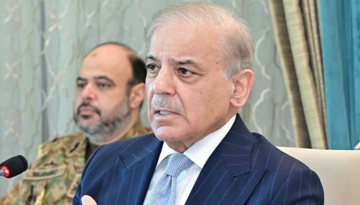 Prime Minister Shehbaz Sharif addresses a special meeting of the federal cabinet, in Islamabad, April 13, 2026. — Online