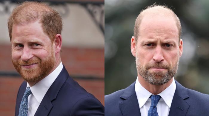 Prince Harry gets postive update on royal role despite William's objection