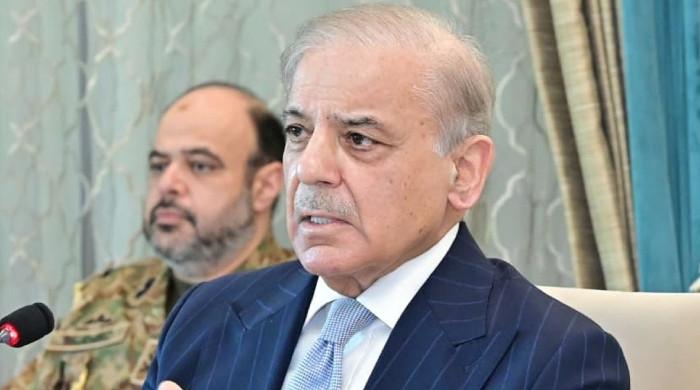 'Peace is never won easily':  Iran-US mediation transformed Pakistan's image, says Shehbaz