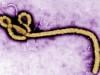 Portrait of a killer: The virus that refuses to die — Ebola's 50-year reign of death