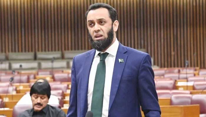 Federal Information Minister Atta Tarar addresses National Assembly session in this undated image. — APP