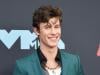Shawn Mendes shares shocking response to fan's worst 'fear'