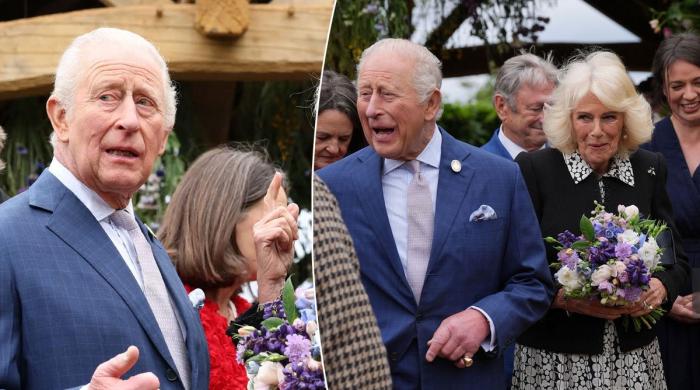 Royal family marks debut of ‘hidden' member at special event