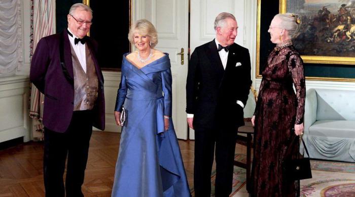 Royal family issues Queen's health update: 'Engagement cancelled'