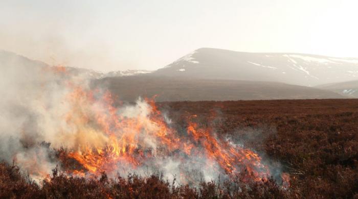 Air pollution crisis: Moorland burning risks lives of 2.3 million in UK 
