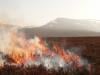 Air pollution crisis: Moorland burning risks lives of 2.3 in UK 
