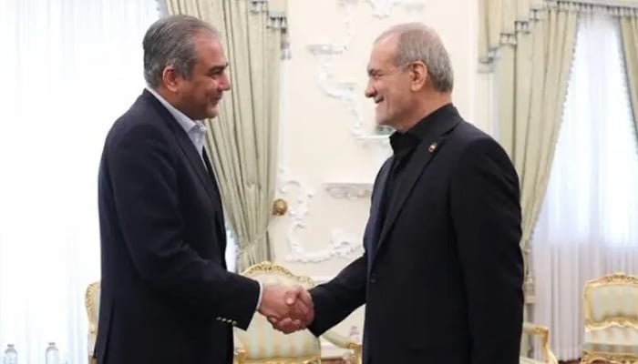 Interior Minister Mohsin Naqvi (left) meets Iranian President Masoud Pezeshkian in Tehran on May 17, 2026. — IRNA