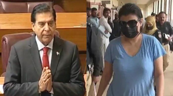 PPP's Raja Pervaiz Ashraf says 'shocked' over mention by 'drug queenpin' Pinky