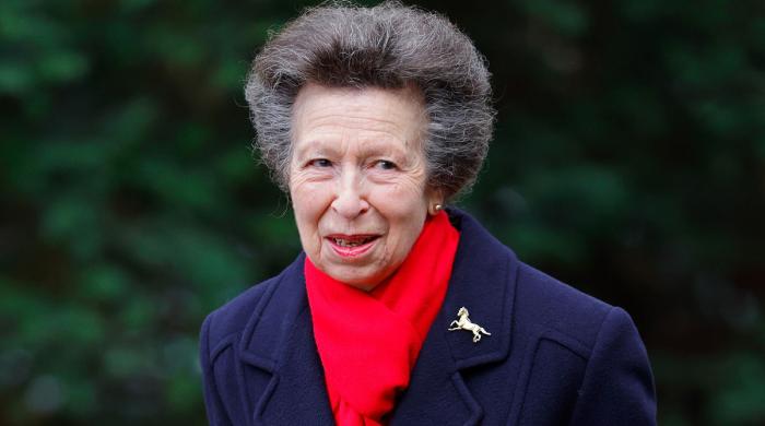Princess Anne urged to step back in new warning