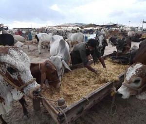 Govt announces Eid ul Adha 2026 holidays