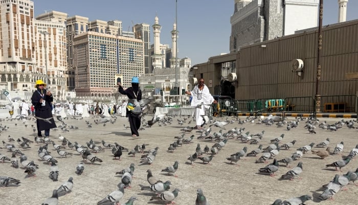 Muslim pilgrims walk among pigeons near the Grand Mosque, ahead of the annual hajj pilgrimage, in Mecca, Saudi Arabia, May 19, 2026. — Reuters