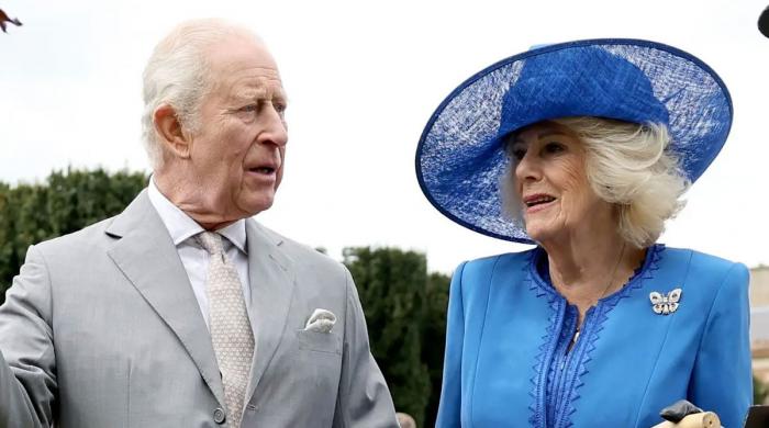 Palace shares update on King Charles, Queen Camilla following mishap