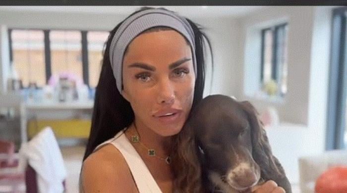 Katie Price deletes post after revealing truth behind Lee Andrews' online status