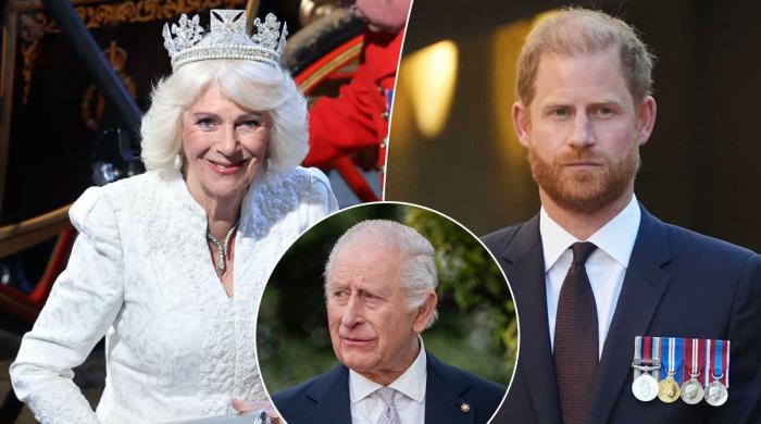 Queen Camilla takes revenge on Prince Harry with bold move