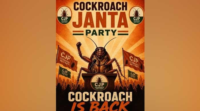 India's 'Cockroach' group goes viral, overtakes Modi-led BJP on Instagram