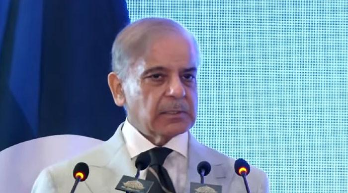 'Stood like a rock': PM Shehbaz hails China's steadfast support for Pakistan
