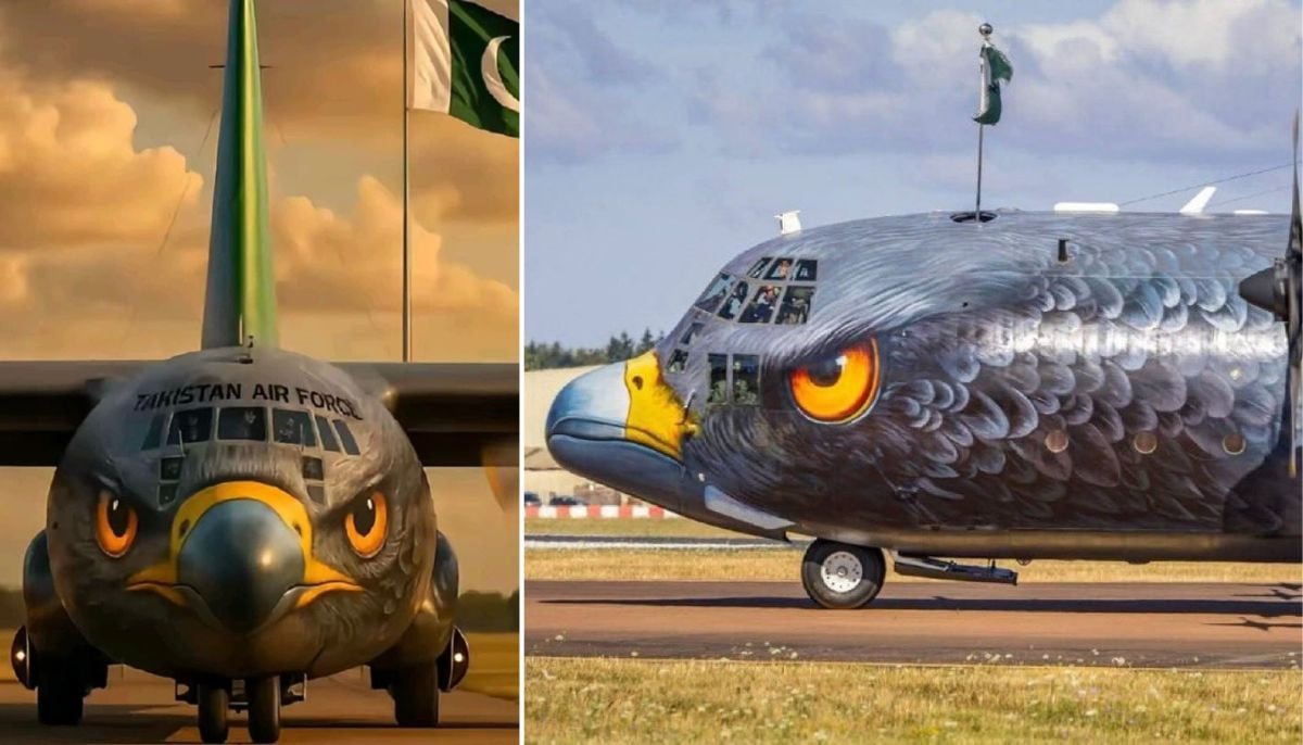 UK's iconic RIAT airshow cancelled for 2026: Here's why