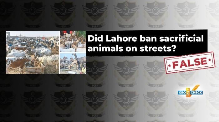 Fact-check: Lahore has not banned tying sacrificial animals on streets ahead of Eid