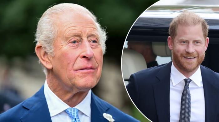 King Charles gives public what they ask for ahead of Prince Harry UK visit 