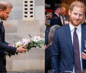 Prince Harry pays tribute to families carrying wounds after William's latest chat