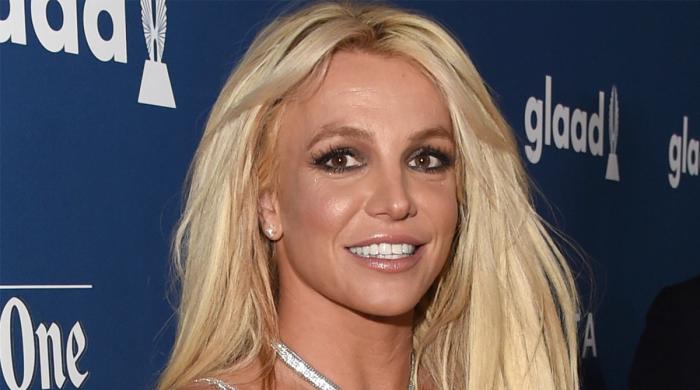 Did Britney Spears mom Lynne ‘kill' a man?