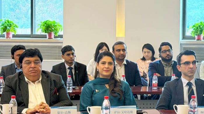 Enduring Pakistan-China friendship symbolises regional stability, prosperity: MPA Sarah Ahmad