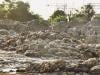 Punjab announces Rs50,000 fine for illegal offal disposal during Eid 