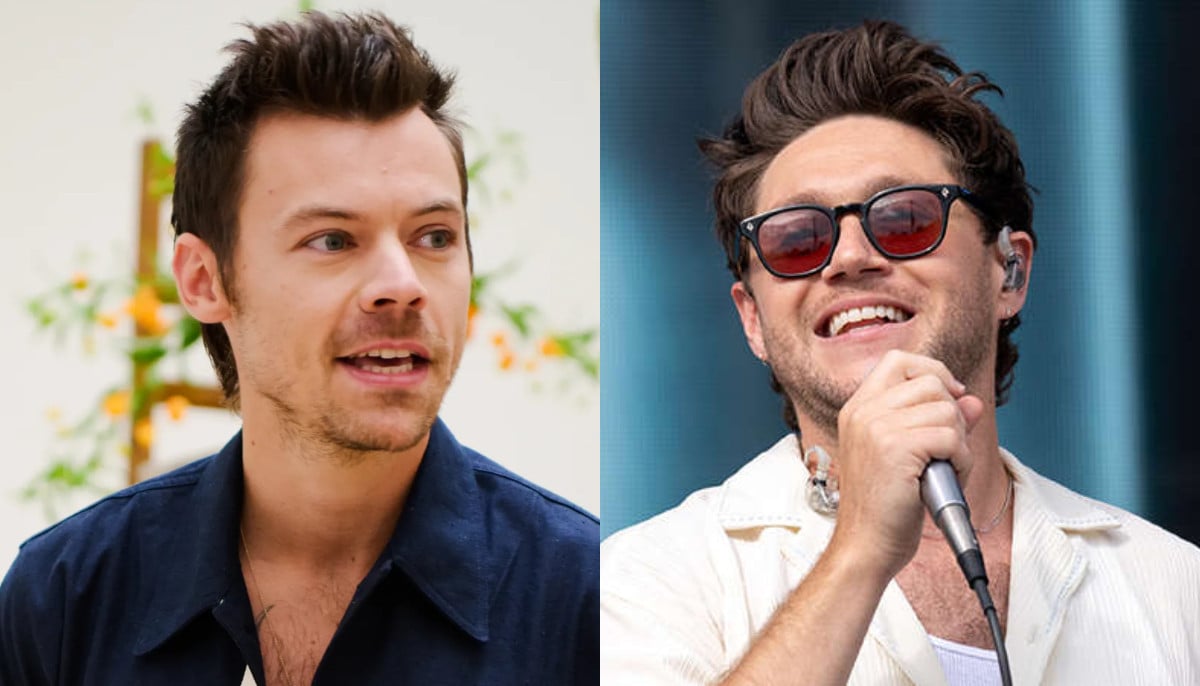 Harry Styles, Niall Horan bring fans together in 'full circle' moment