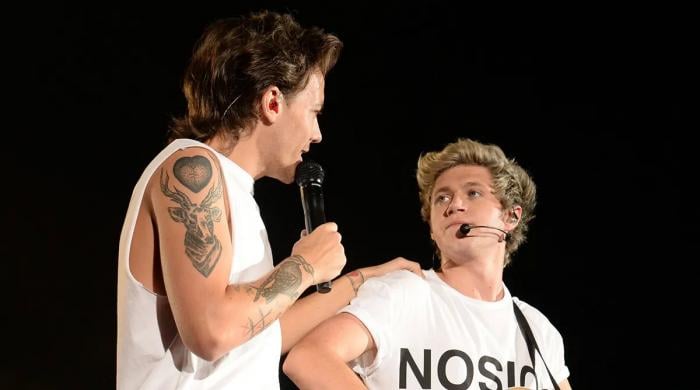 One Direction singers Louis Tomlinson, Niall Horan to reunite in Sunderland?