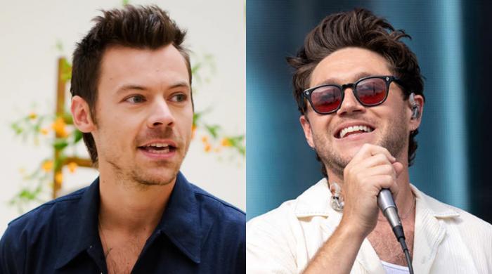 Harry Styles, Niall Horan bring fans together in 'full circle' moment