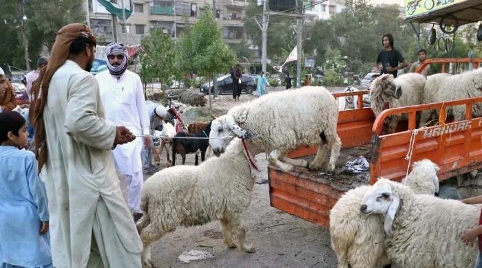 Sindh issues important update on Eid ul Adha 2026 holidays