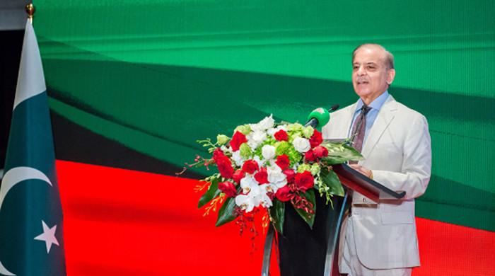 PM invites Chinese firms to relocate industries to Pakistan under 'win-win' partnership model