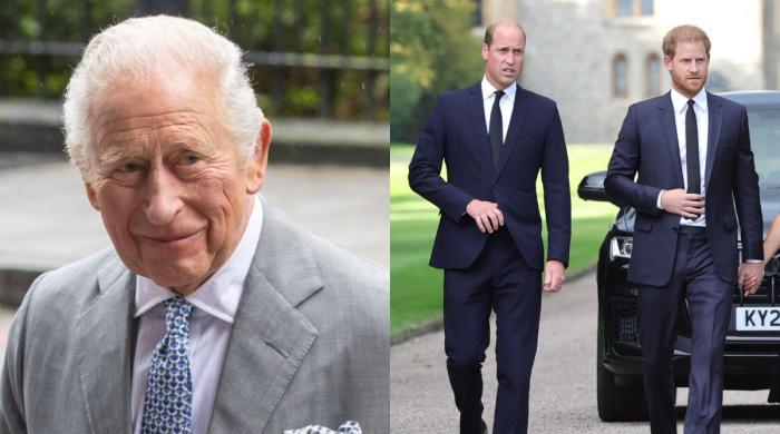 King Charles takes careful measures to avoid William, Harry big clash