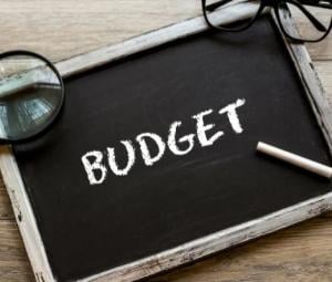 Budgeting beyond control