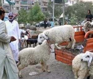 Sindh issues important update on Eid ul Adha 2026 holidays