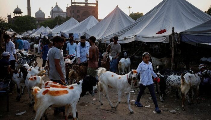 A girl walks with a goat after buying it at a livestock market ahead of the Eid ul Adha festival in the old quarters of Delhi, India, July 6, 2022. — Reuters