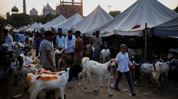 India bans cow, calf sacrifice, road blockades for Eid ul Adha prayer