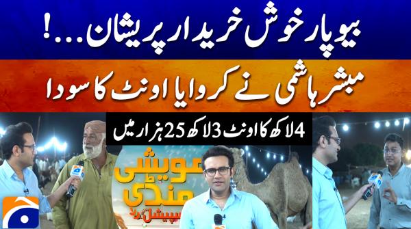 Maweshi Mandi Special 2026 | 26th May 2026